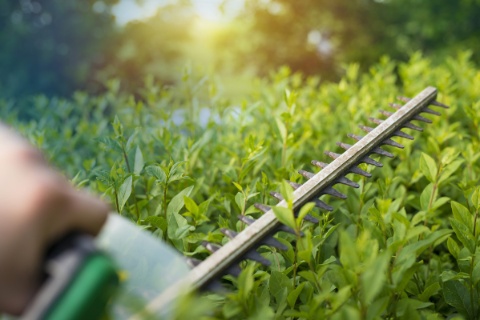 50 - 55 VDS for 36 V motors